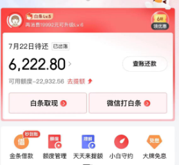 2025年京东白条消费额度怎么套出来？新手必看，灵活使用全攻略