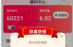 手把手教你玩转桃多多，2025年最新从申请到使用的完整指南