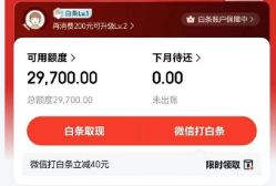 2025年最新版京东白条自用秘籍：17种操作方法，让你轻松掌握资金灵活运用的新潮流
