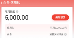京东白条消费额度怎么使用？2025年灵活使用14个全新攻略