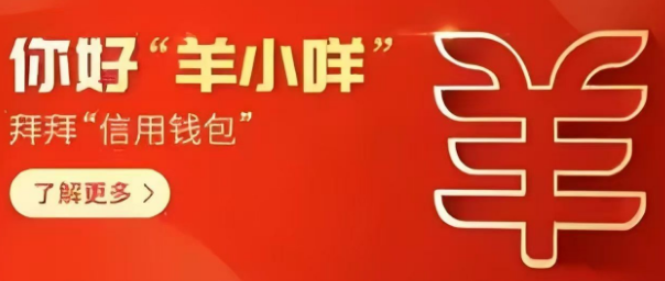 羊小咩便荔卡包使用技巧，2025年最新轻松获取现金流的实用七个方法